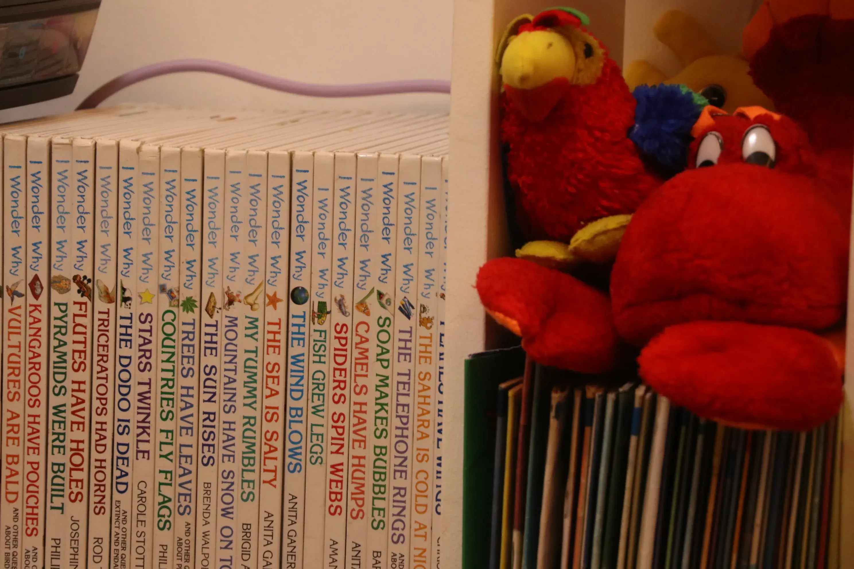 A row of children's nonfiction books beside stuffed animals on a shelf